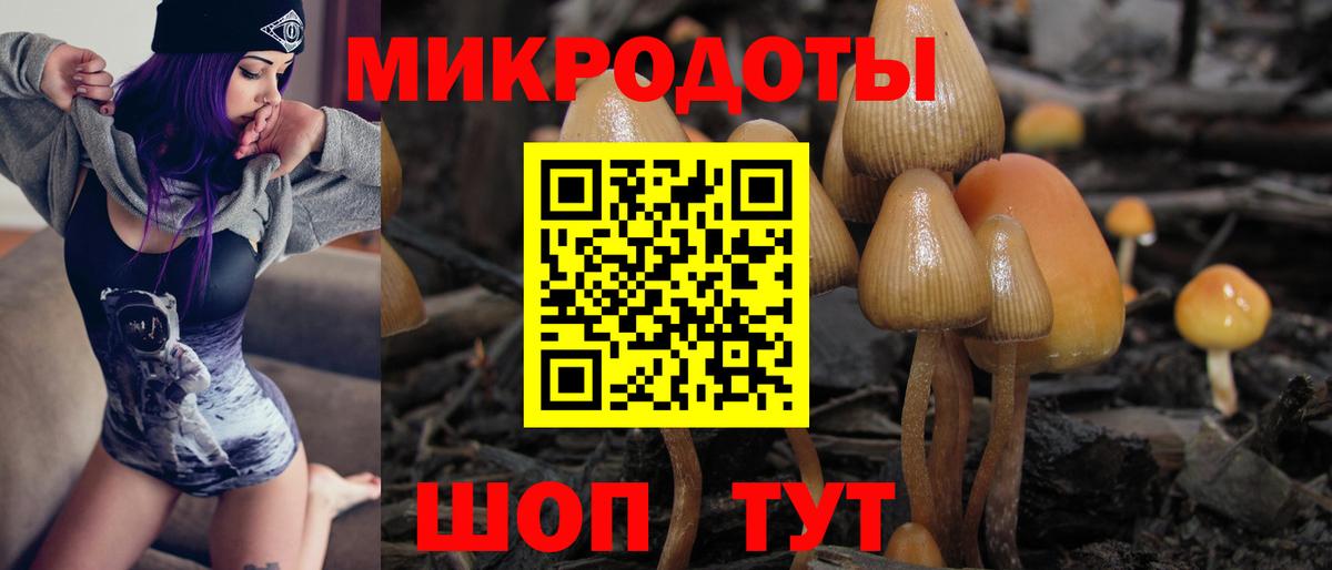 Галлюциногенные грибы мухоморы  Вход с VPN  Сибай 