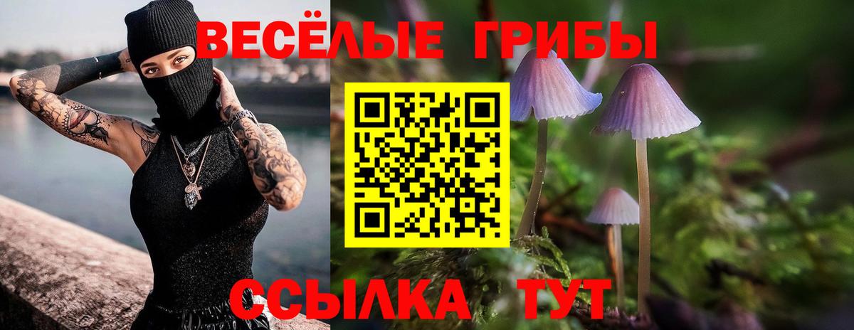 Псилоцибиновые грибы мухоморы Сибай